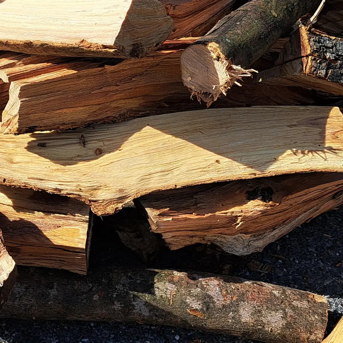 Legna di ulivo non trattata grande per barbecue (15 kg)