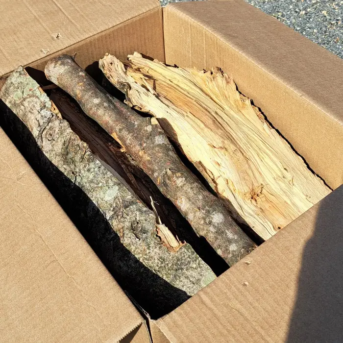 Legna di ulivo non trattata grande per barbecue (15 kg)