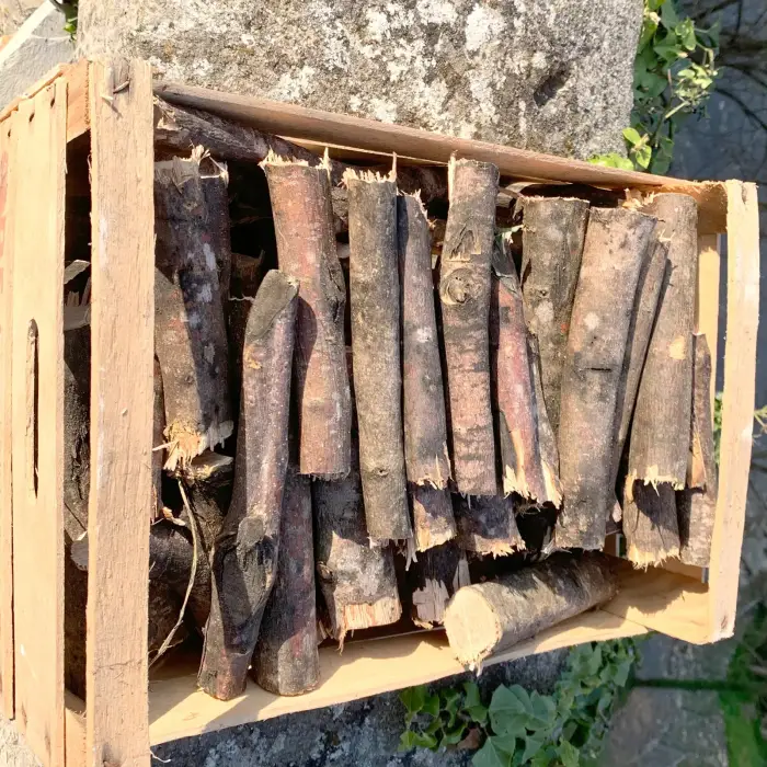 Legna di ulivo non tratta piccola per barbecue (5 kg)