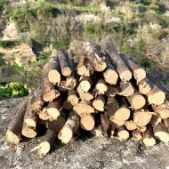 Kit Legna di olivo non trattata (piccola e grande) - Bundle 35 kg per barbecue 5/6 persone