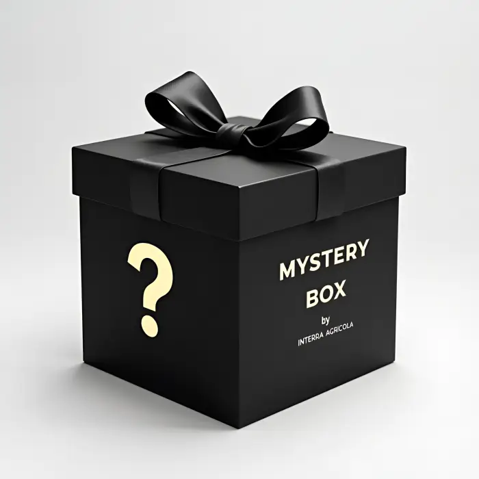 Mystery Box Contenuto a sorpresa per regalo inaspettato
