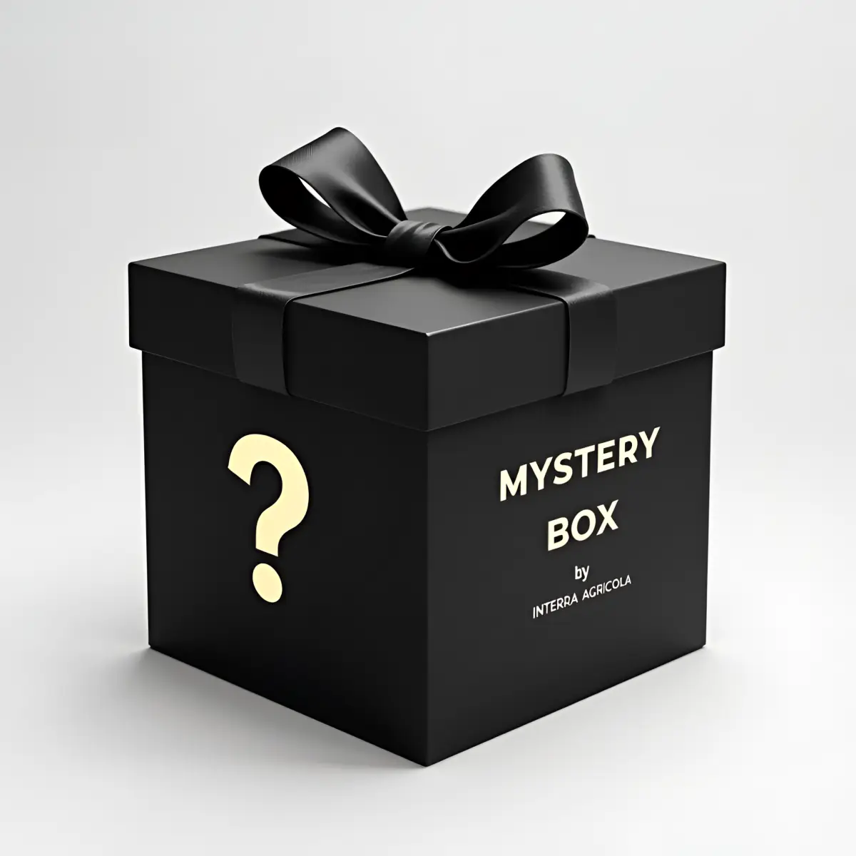 Mystery Box Contenuto a sorpresa per regalo inaspettato