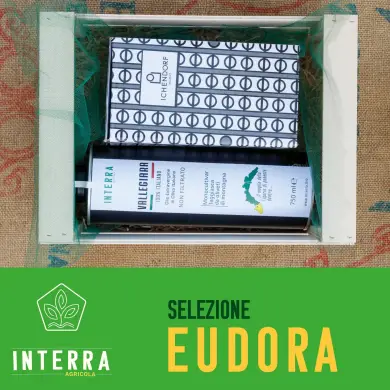 Selezione Eudora