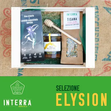 Selezione Elysion