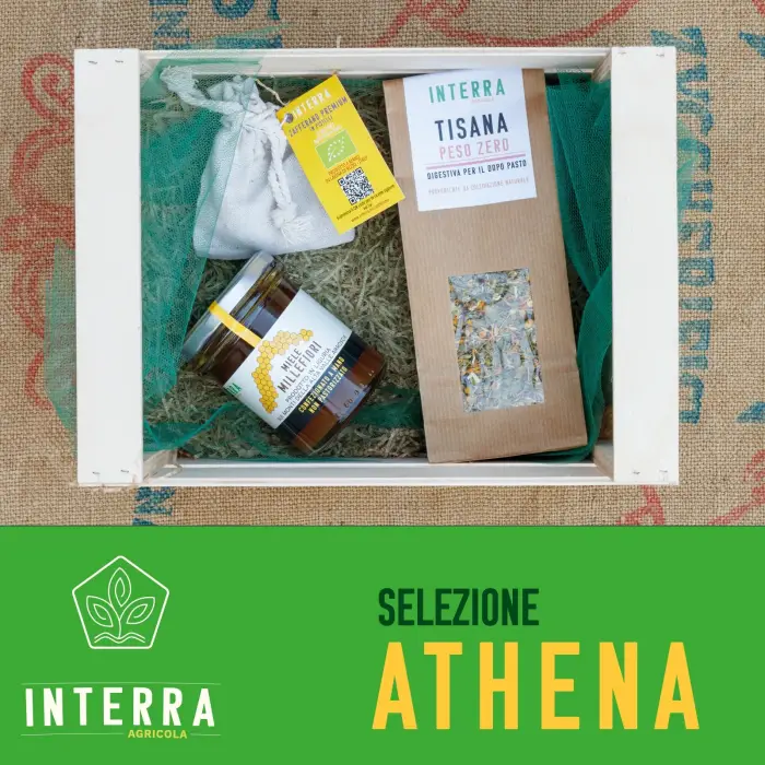 Selezione Athena
