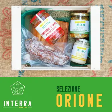 Selezione Orione Selezione Orione