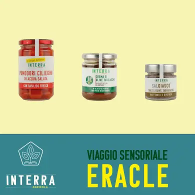 I viaggi sensoriali - Eracle