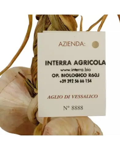 Aglio di Vessalico 13 teste