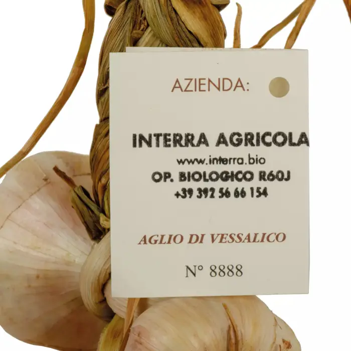 Aglio di Vessalico (riconosciuto Presidio Slowfood®) 13 teste