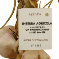 Aglio di Vessalico (riconosciuto Presidio Slowfood®) 13 teste