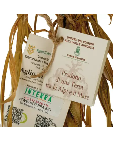 Aglio di Vessalico 13 teste