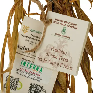 Aglio di Vessalico (riconosciuto Presidio Slowfood®) 13 teste